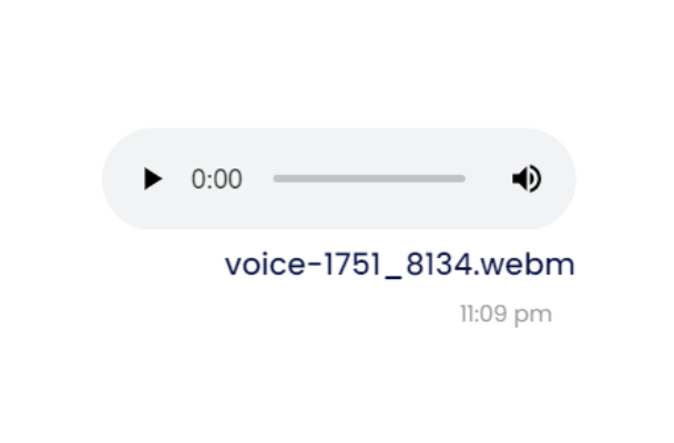 Voice Mail Features